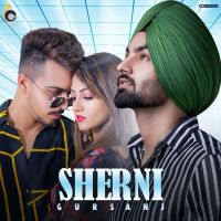 Sherni Gursanj MP3 Song, Sherni Album