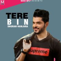 Tere Bina Sangram Hanjra MP3 Song, Tere Bina Album