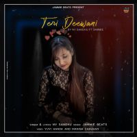 Teri Deewani Nv Sandhu MP3 Song, Teri Deewani Album