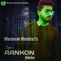 Teri Aankhon Mein Waseem Mumtaz MP3 Song, Teri Aankhon Mein Album