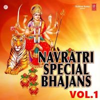 Download Navratri Special Vol 1 Anjali Jain, Narender Chanchal and others... full mp3 album