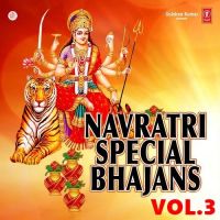 Download Navratri Special Vol 3 Arijit Singh, Narendra Chanchal and others... full mp3 album