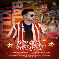 You Cant Forget Baljinder Kullar MP3 Song, You Cant Forget Album