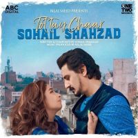 Tottay Chaar Sohail Shahzad MP3 Song, Tottay Chaar Album