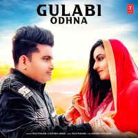 Gulabi Odhna Raju Punjabi, Ruchika Jangid MP3 Song, Gulabi Odhna Album