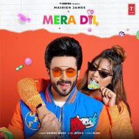 Mera Dil Mairien James MP3 Song, Mera Dil Album