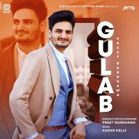 Gulab Preet Randhawa MP3 Song, Gulab Album