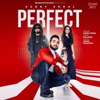 Perfect Sunny Sohal MP3 Song, Perfect Album