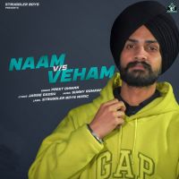 Download Naam Vs Veham Preet Dhiman mp3 song, Naam Vs Veham lyrics