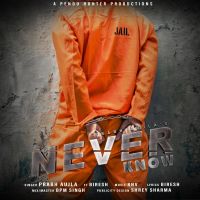 Download Never Know Prabh Aujla, Biresh mp3 song, Never Know lyrics