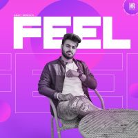 Feel Ankit Sroha MP3 Song, Feel Album