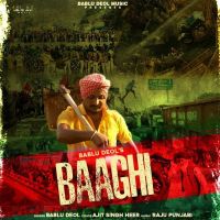 Baaghi Bablu Deol MP3 Song, Baaghi Album