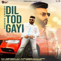 Dil Tod Gayi Shehbaz Badesha MP3 Song, Dil Tod Gayi Album