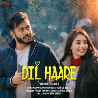 Dil Haare Pukhraj Bhalla MP3 Song, Dil Haare Album