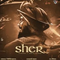 Sher Jeeta Pawar, Singga MP3 Song, Sher Album
