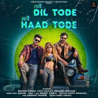 Tanne Dil Tode Manne Haad Tode Raj Mawer MP3 Song, Tanne Dil Tode Manne Haad Tode Album