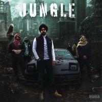 Jungle Nseeb MP3 Song, Jungle Album
