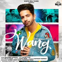 Wang Bhavdeep Romana MP3 Song, Wang Album