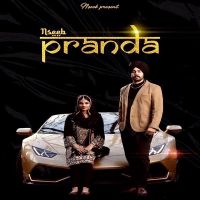 Paranda Nseeb MP3 Song, Paranda Album