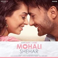 Mohali Shehar Afsana Khan MP3 Song, Mohali Shehar Album