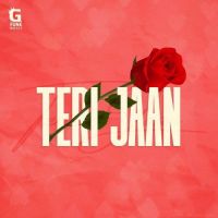Teri Jaan Jammy Meet MP3 Song, Teri Jaan Album