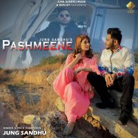 Pashmeene Jung Sandhu MP3 Song, Pashmeene Album