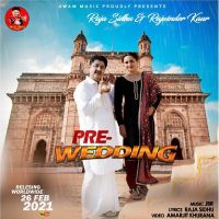 Pre Wedding Raja Sidhu, Rajwinder Kaur MP3 Song, Pre Wedding Album