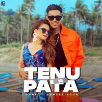 Tenu Ni Pata Guri MP3 Song, Tenu Ni Pata Album