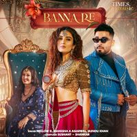 Banna Re Mellow D, Manesha A Agarwal MP3 Song, Banna Re Album