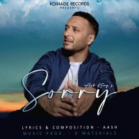 Sorry Ash King MP3 Song, Sorry Album