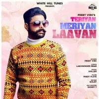 Teriyan Meriyan Laavan Preet Virk MP3 Song, Teriyan Meriyan Laavan Album