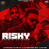 Download Risky Kulbir Jhinjer, 6irdz mp3 song, Risky lyrics