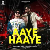 Aaye Haaye Turban Beats MP3 Song, Aaye Haaye Album