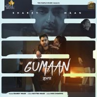 Download Gumaan Sharry Maan mp3 song, Gumaan lyrics