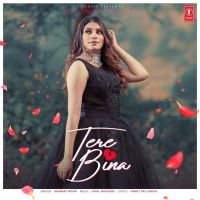 Tere Bina Mannat Noor MP3 Song, Tere Bina Album