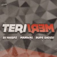 Teri Meri Manwal MP3 Song, Teri Meri Album