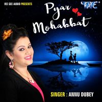 Download Tum Mere Baad Mohabbat Ko Taras Jaoge Anu Dubey mp3 song, Tum Mere Baad Mohabbat Ko Taras Jaoge lyrics