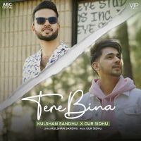 Tere Bina Gur Sidhu, Kulshan Sandhu MP3 Song, Tere Bina Album