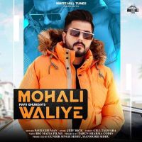 Mohali Waliye Pavii Ghuman MP3 Song, Mohali Waliye Album