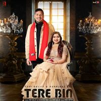 Tere Bin Veet Baljit, Gurkirat Raj MP3 Song, Tere Bin Album