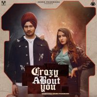 Crazy About You Jaura Phagwara MP3 Song, Crazy About You Album