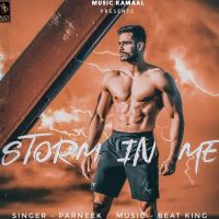 Storm In Me Parneek MP3 Song, Storm In Me Album