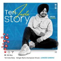 Teri Insta Story Amzee Sandhu MP3 Song, Teri Insta Story Album
