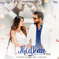 Jhidkan Gary Hothi MP3 Song, Jhidkan Album