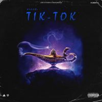 Tik Tok Nseeb MP3 Song, Tik Tok Album
