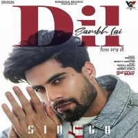 Dil Sambh Lai Singga MP3 Song, Dil Sambh Lai Album