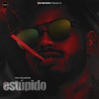 Estupido Nav Dolorain MP3 Song, Estupido Album