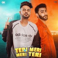 Teri Meri Meri Teri Nav Sandhu, RCR MP3 Song, Teri Meri Meri Teri Album