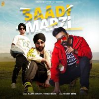 Saadi Marzi Harry Kahlon, Turban Beats MP3 Song, Saadi Marzi Album