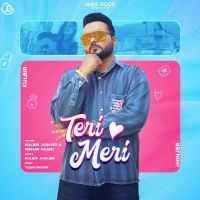 Teri Meri Kulbir Jhinjer, Mehar Vaani MP3 Song, Teri Meri Album